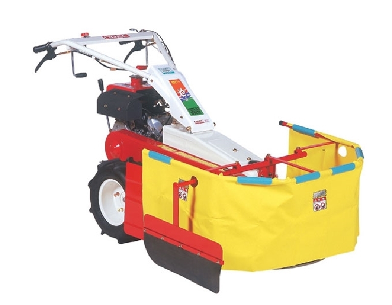 µ¿·Â¿¹Ãë±â-02(»ç·á)